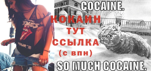 ECSTASY Каменногорск