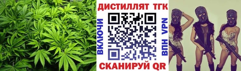 Купить закладки  Пионерский  Дистиллят ТГК вейп с тгк 